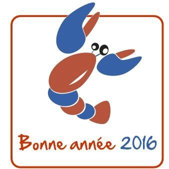 Bonne année !!!