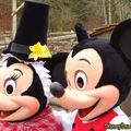 Saint David's Welsh Festival au Disneyland Park