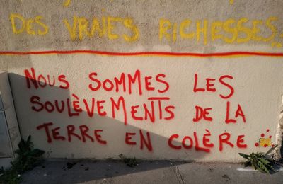Marion Cotillard : soutien absolu au mouvement Soulèvements de la Terre dissous le 21 juin