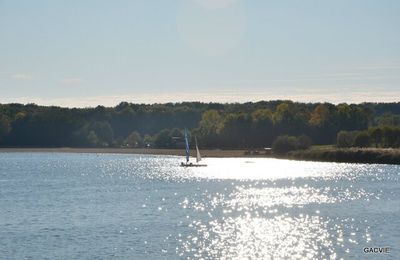 Lac du Der 2013 : samedi 26 octobre 2013