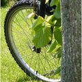 BICYCLETTE ... " Quand ils partaient de bon