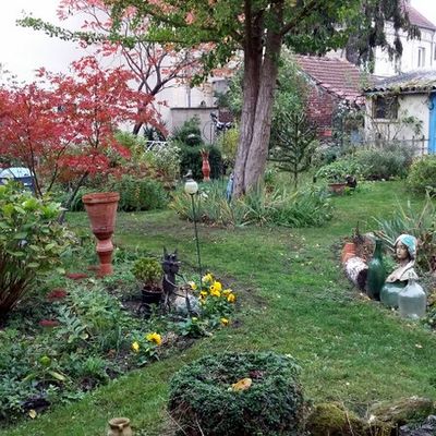 mon jardin : le retour
