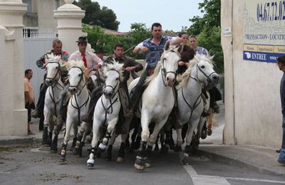 Feria de St-aunès 2008