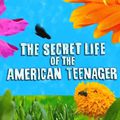 [DL] The Secret Life of the American Teenager