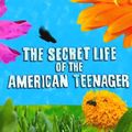 [DL] The Secret Life of the American Teenager