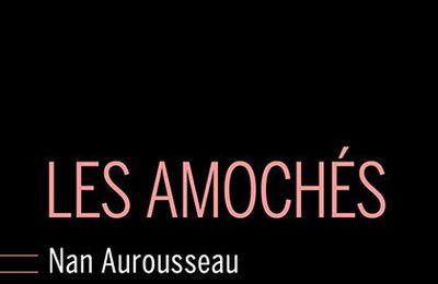 Les amochés : la fable sociale et fantastique de Nan Aurousseau