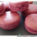 MACARONS BETTERAVE, PARFUM MENTHE