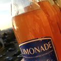 Rendez-vous Kefirs et Kombucha 