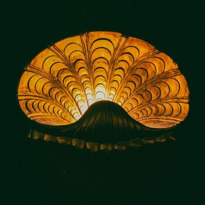 Les Sorties d'Albums du Vendredi 4 Juillet 2025