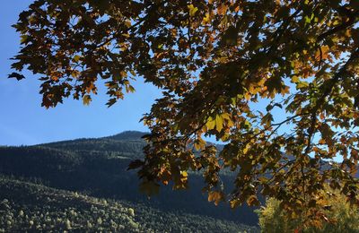 Un automne masqué - Nuit 16/18 - C'est aussi l'automne à Brigerbad !