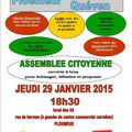 DEPARTEMENTALES 2015, ASSEMBLEE CITOYENNE