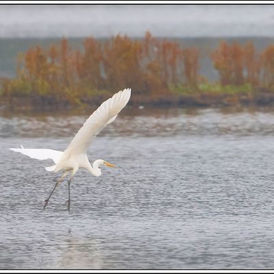 Encore une rafale de photos...