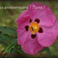 7 ans de blog c'est aujourd'hui !!