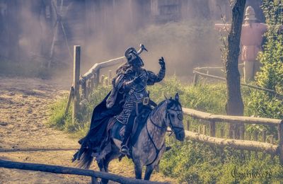 Généalogie des maisons de Meulan et d’Harcourt, seigneur de d’Elbeuf.