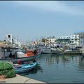 Tunisie -Le Cap Bon