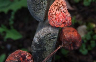 Le cliché du Mercredi : Dame Nature opère ...