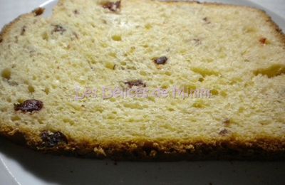 Brioche aux cranberries en MAP