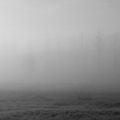 Brouillard dans la plaine
