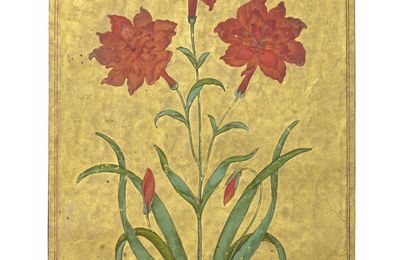 An imaginary carnation , Aurangabad, North Deccan, vs 1726-1669 AD