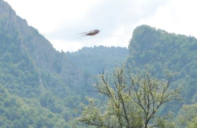  Roumanie:Un ovni apparaît sur une photo de paysage au-dessus de Predeal-Brasov 28.06.2012.