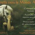 Communiquer avec son animal ! c'est possible...