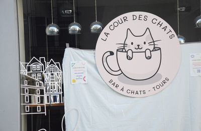 Choses vues à Tours le 10 avril 2025 (1)