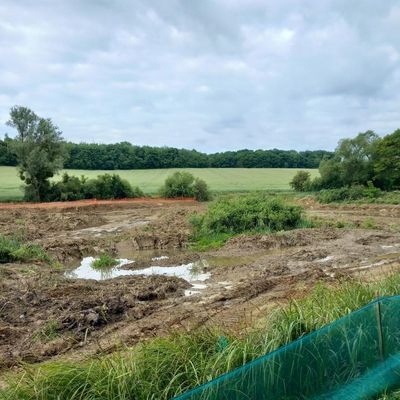 Renaturation des étangs ou destruction massive de la biodiversité?