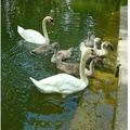 Quartier Drouot - Un moment au bord du canal...