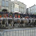 Boeuf gras à Bazas le jeudi 7 février 2013