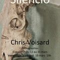 Samedi 19 mars - Chris Voisard  - Galerie au passage des rêves