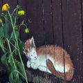 Des petits détails de ruelle encore... De belles