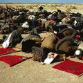    	 L'Association des tribus sahraouies en Europe dénonce la visite de certains individus à Tindouf