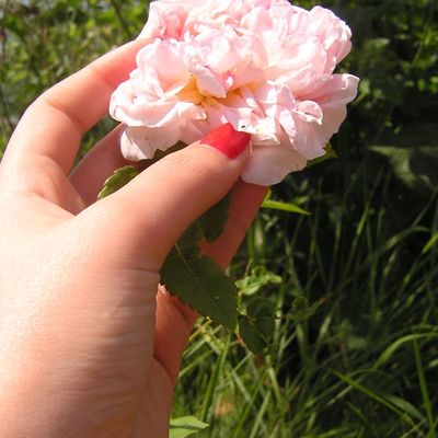 The last day at school...