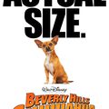 (Film) Le chihuahua de Beverly Hills