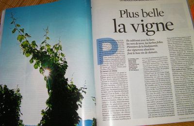 La biodynamie alsacienne dans... Télérama!...