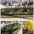 Jardin éphémère sur la Place Stanislas à Nancy