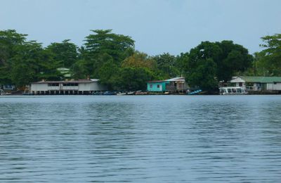 TORTUGUERO ....