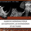 Une marche mondiale pour stopper le massacre : samedi 4 octobre 2014