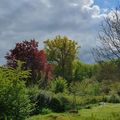 Photos du Dimanche !