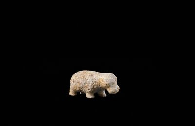 GALERIE EBERWEIN, Stand 24c at BRAFA, 26 janvier-2 février 2020