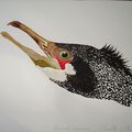 grand cormoran à l'aquarelle