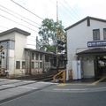 Hattori-tenjin, une autre gare avec un arbre au milieu