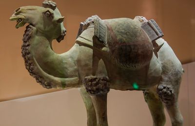 Pottery Camel, Tang Dynasty, 7th Century