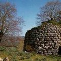 Le Nuraghe