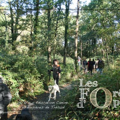 Cours collectifs Education Canine Angers - Retrouvez nos prochains lieux de rendez vous sur notre page abonnés (ouvert à tous)