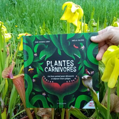 Documentaire jeunesse : Plantes carnivores