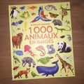 Nous avons découvert 1000 animaux en images (Editions Usborne)