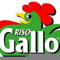 Mon 40 ème partenaire: RISO GALLO
