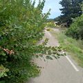 ALERTE SECURITE ........UNE PISTE CYCLABLE PLUTÖT DANGEREUSE !