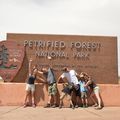 Vendredi 13 juillet - Petrified Forest
